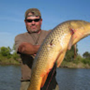 randylanzendorfer avatar