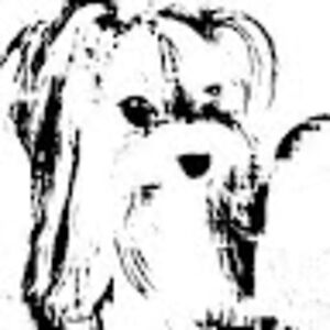 weregolfchampion avatar