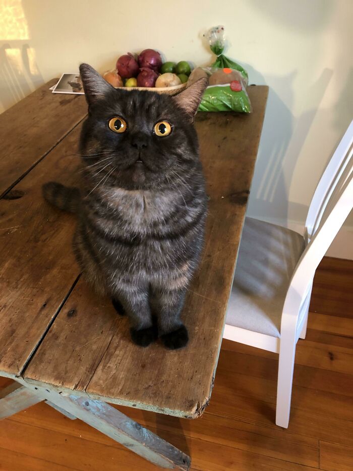 Oscar luce muy apuesto esta mañana