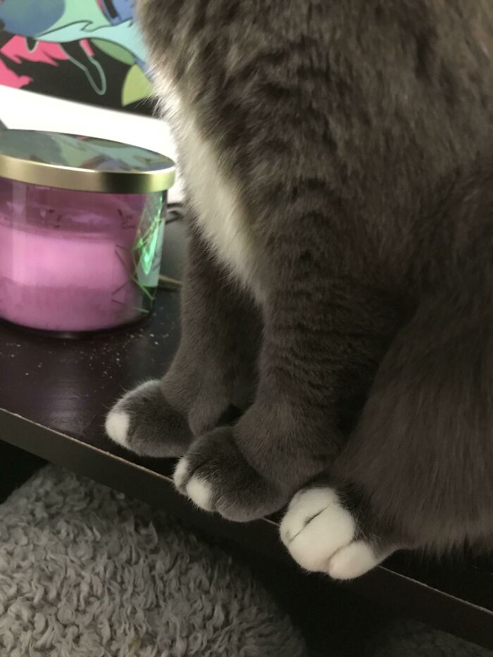 Skittles' Cute Feets