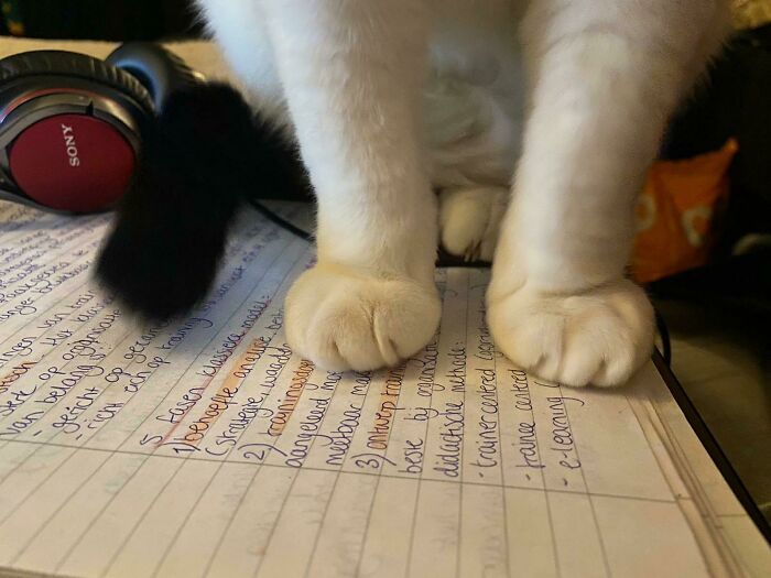 No hay nada mejor que esto