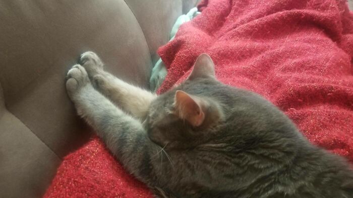 Estirando las patitas