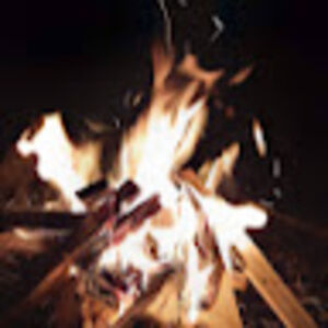 mathildeelton avatar