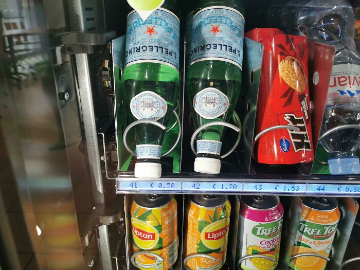 Which One Will I Choose?