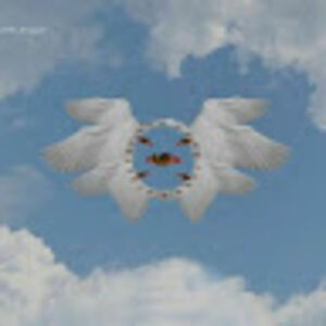 lisabluedragon2008 avatar