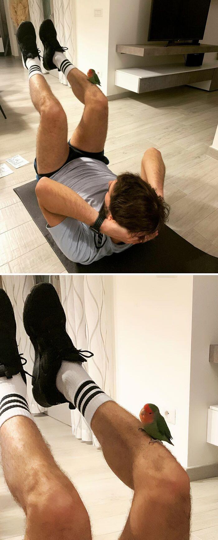 Bubi Is A Personal Trainer