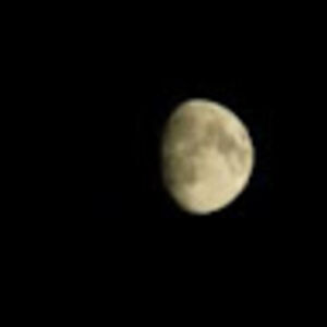 jackeyniraula avatar