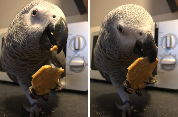 They Say I’m Crackers, I Say Crackers Are Tasty