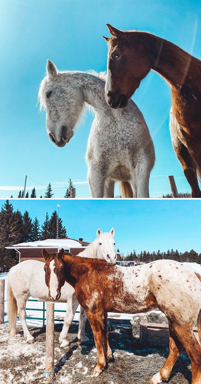 The Boys Satisfied With Their Grooming Service