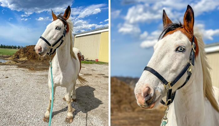 Time To Stretch His Legs And Play