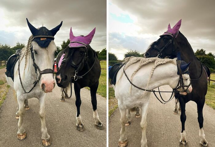 Love Is In The Air…