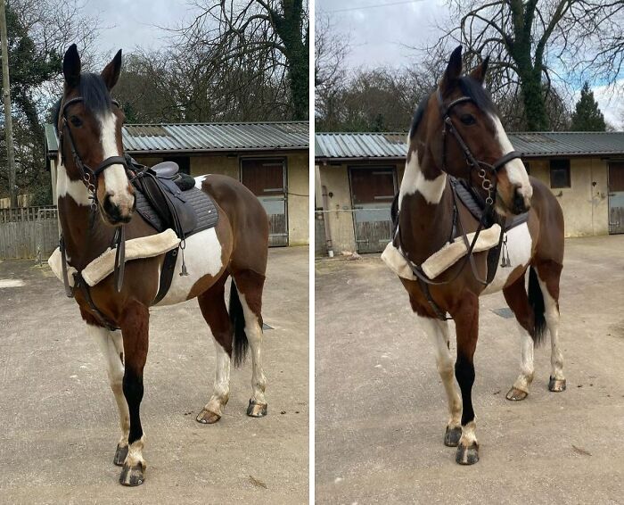 We Are Back Flying Solo Again For The First Time Since Our Little Ordeal Last Thursday