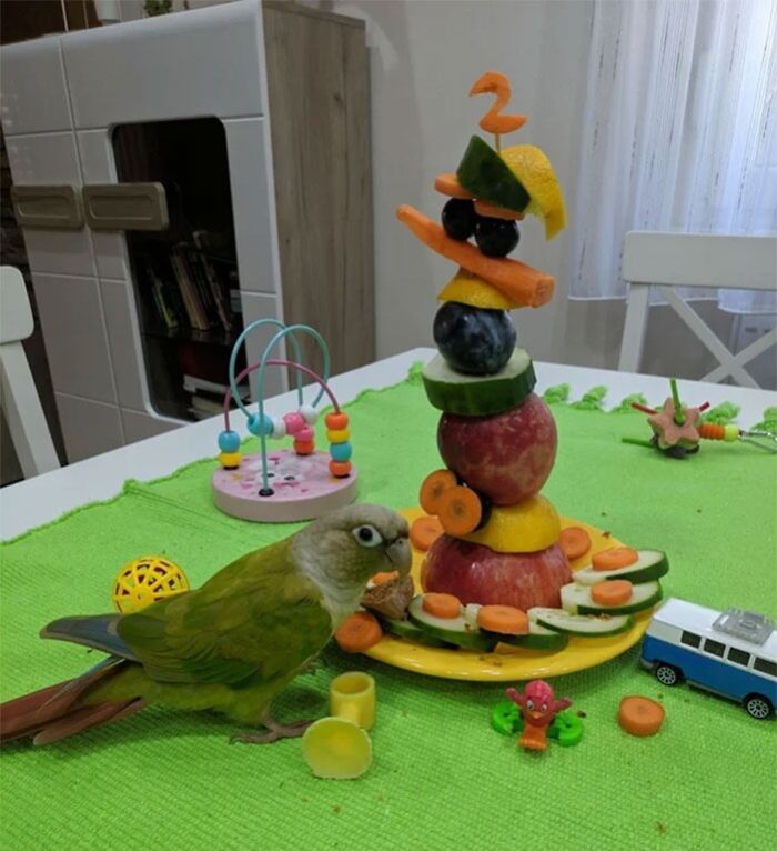 Birthday Party! Rajko Just Turned 2! You're All Invited