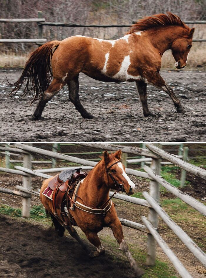 My Beautiful Girl, Tana