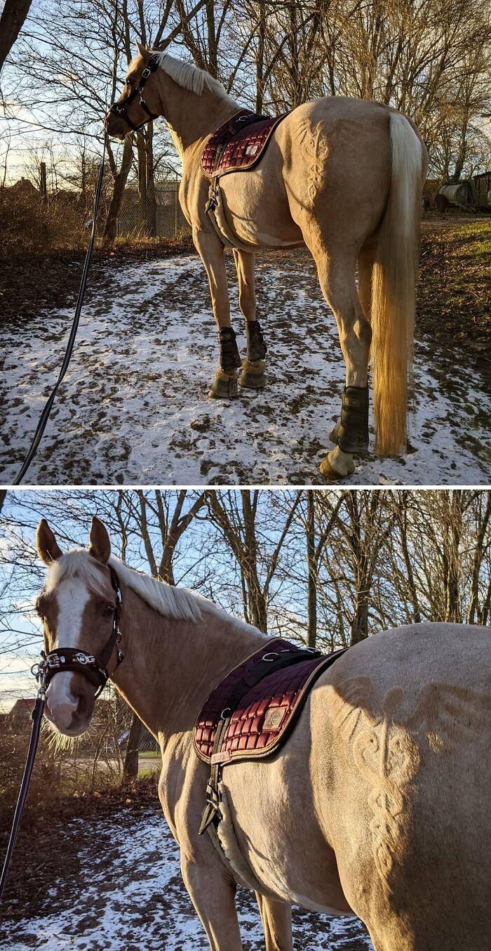 I Could Not Have Asked For A More Beautiful Day To Test My New Phone Cam