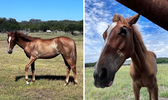 Photos Of My Almost 7 Month Old Weanling Daisy