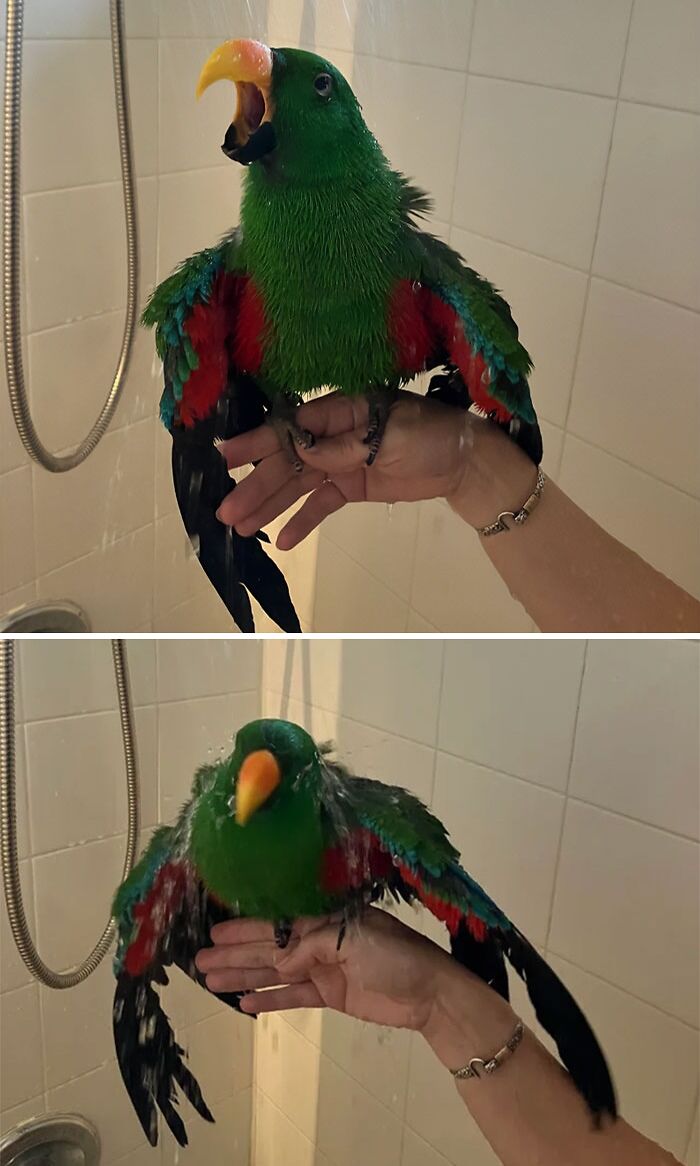 Soaked ‘Saur Saturday