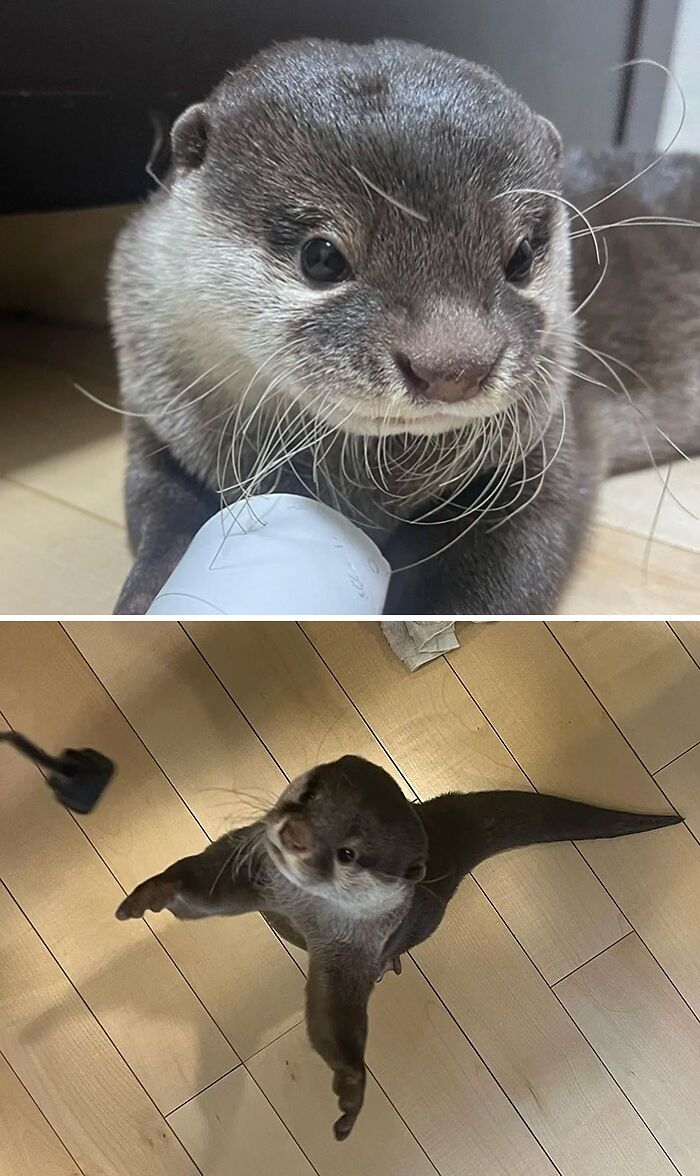 Favorite Toilet Paper Core. Right, You Can't Eat It