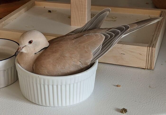 Life Is Hard On A Sunday Afternoon