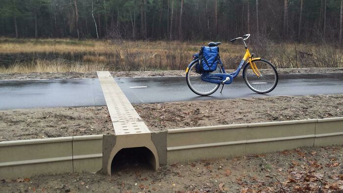 Túnel de los anfibios, autopista ciclista de Eindhoven, Países Bajos