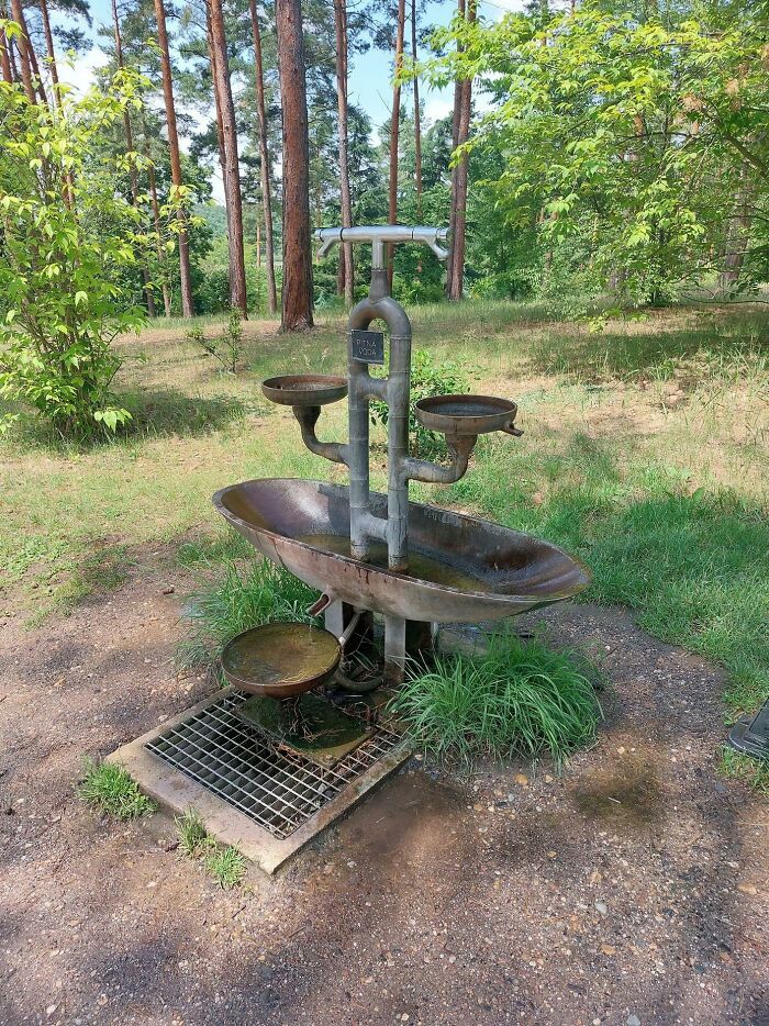 Este bebedero te permite llenar tu botella, y guarda el agua extra para los perros que pasan