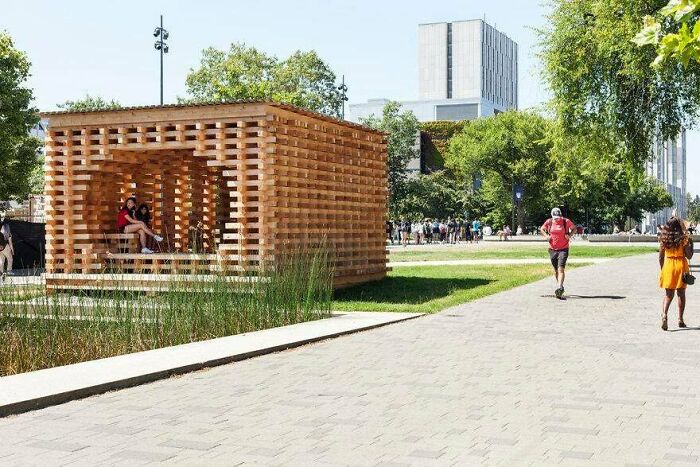 If You're Going To Dry Lumber Anyway, Why Not? Vancouver, Bc