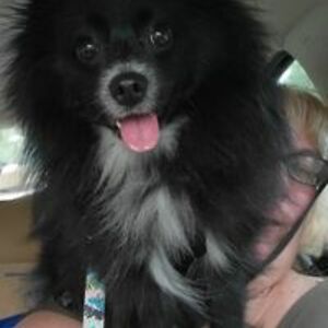 jennifer_bilodeau avatar