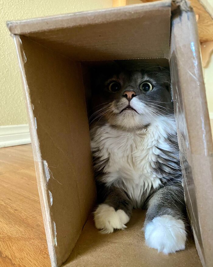 “It’s Smaller Than I Thought...”