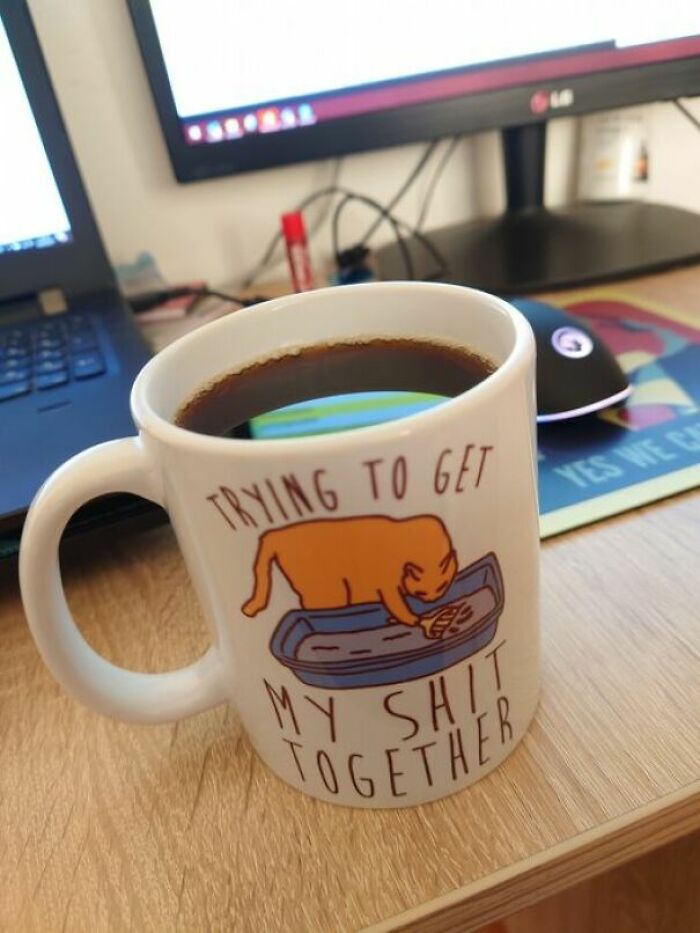 *tell Them You're A Cat Lady Without Saying You're A Cat Lady*