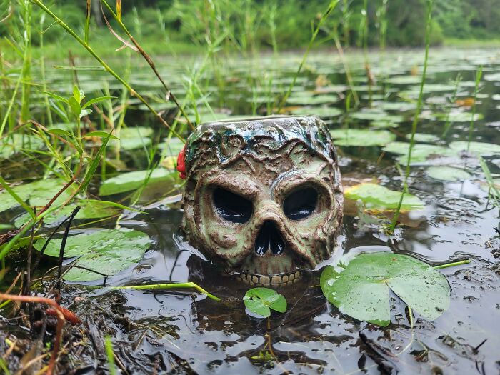 My Favorite Mug That I've Made. I Love To Photograph Them In What I Imagine Their Natural Habitat Would Be