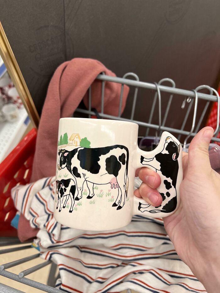 Picked Up This 10/10 Mug Today