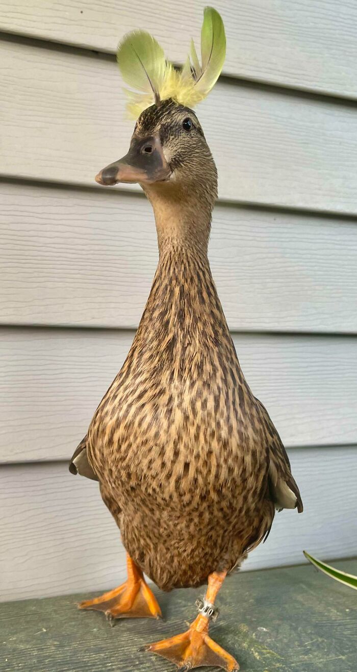 Happy Easter, Y’all