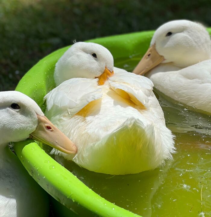 Testing Out Portrait Mode On My New iPhone