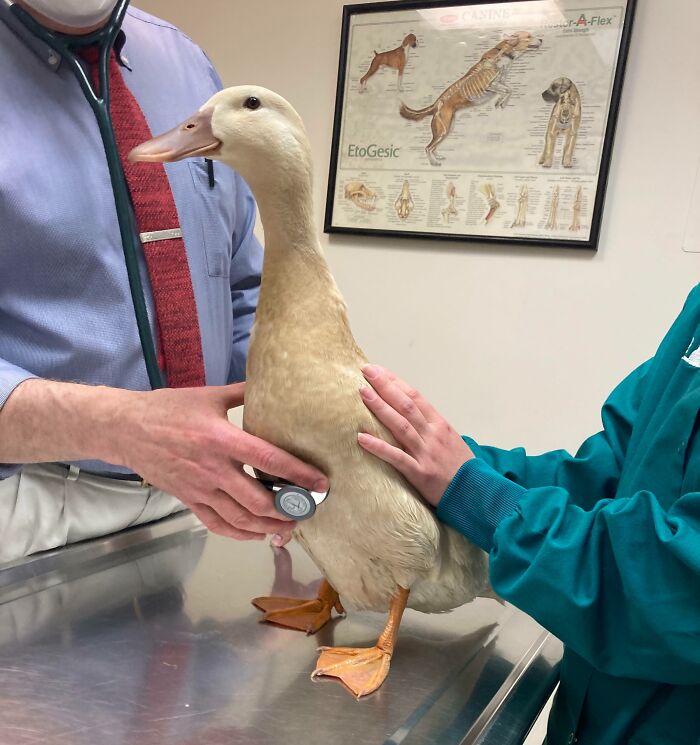 Getting A Post Surgery Checkup