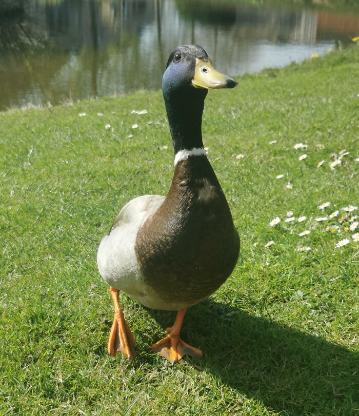 Look At This Beautiful Boy