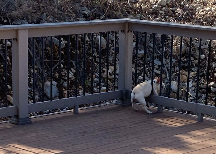 Stuck (She’s Fine Just A Little Stupid)