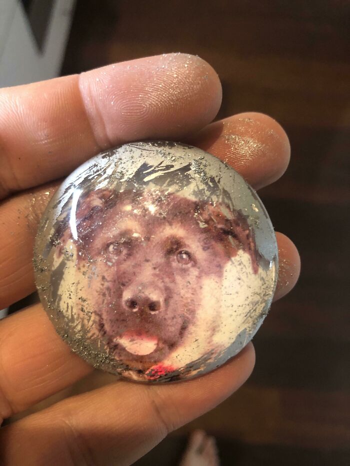 There Is A Dog Under The Silver Paint On My Fridge Magnet