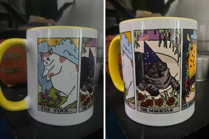 Any Cat/Tarot Lovers Here?