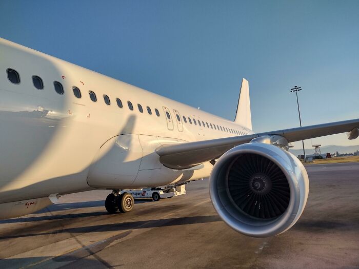 The Plane That I Flew On Did Not Have Any Livery (Colors, Logos, Or Branding)