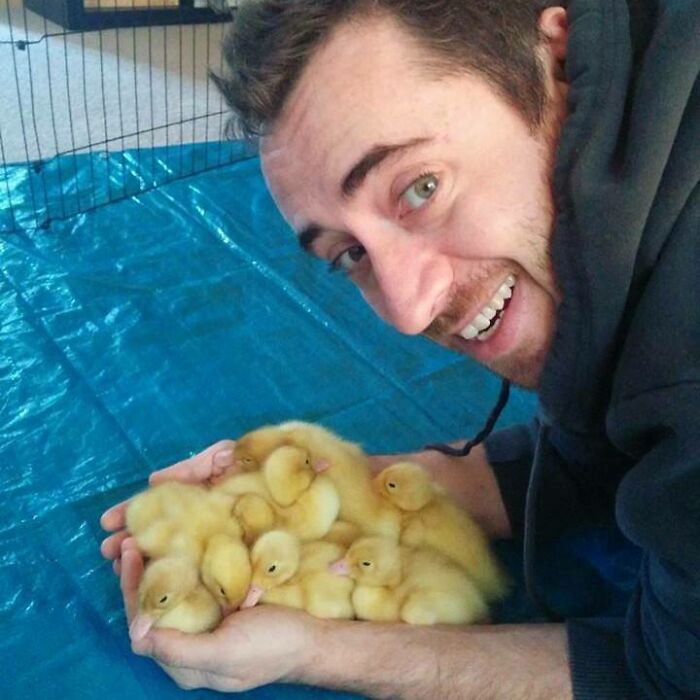 Smiling person holding cute yellow ducks in their hands.