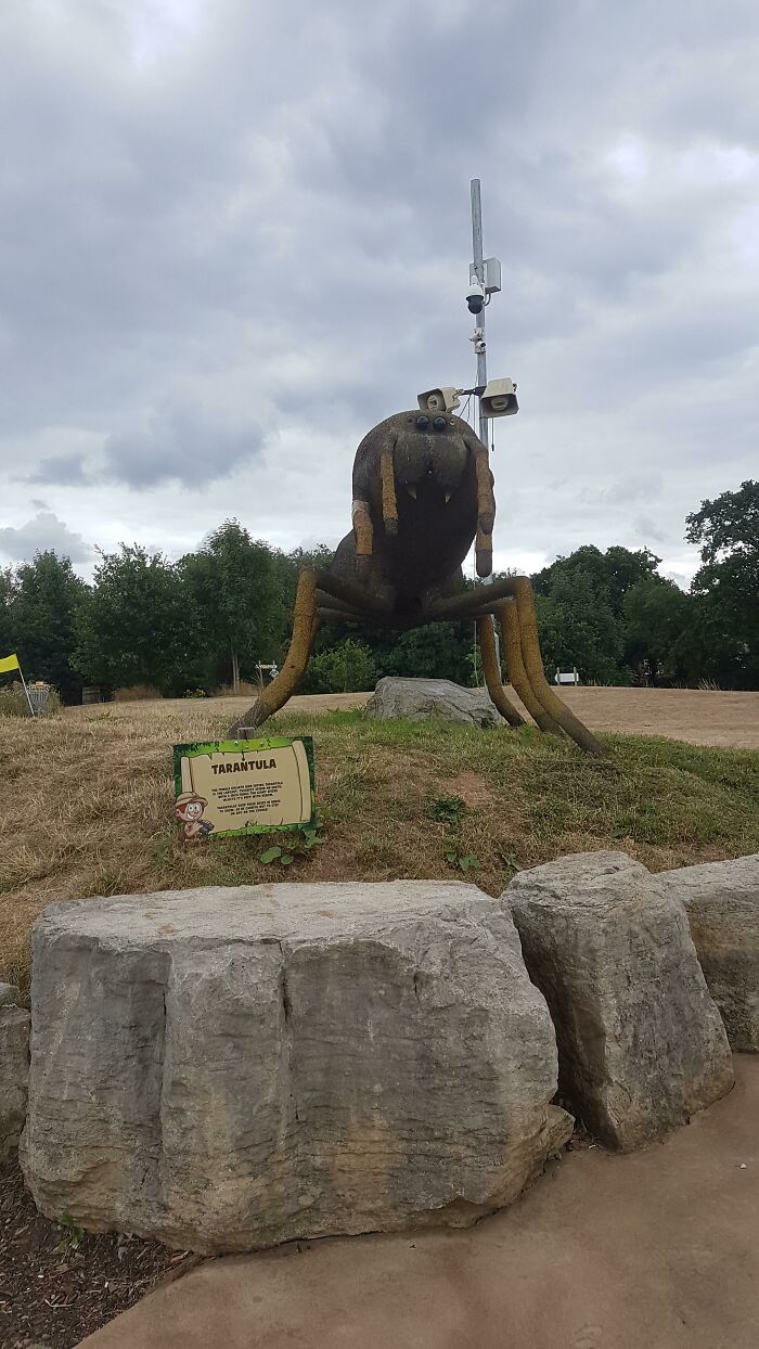 It Just Looks Depressed