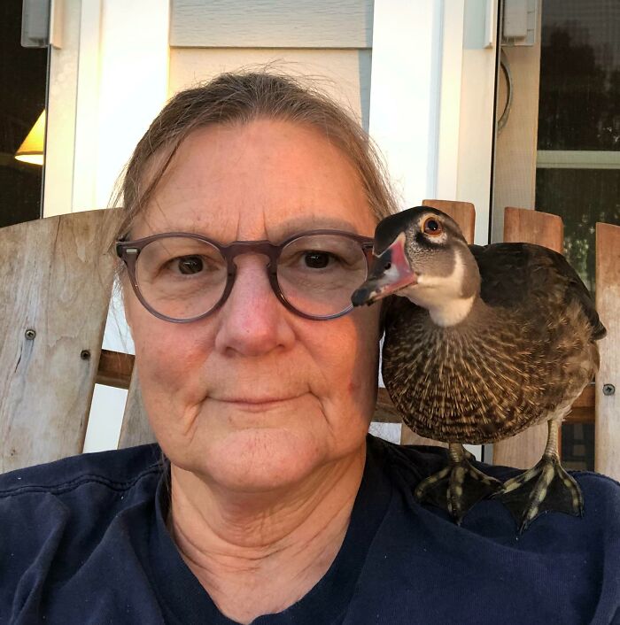 Dark duck sitting on a person's shoulder, creating a cute and endearing moment.