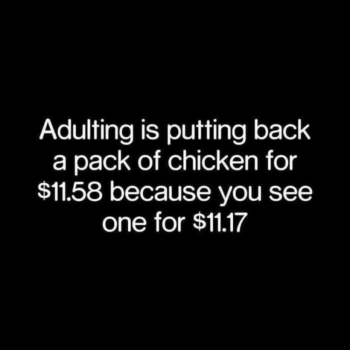 Trying-To-Be-More-Adult-Adulting