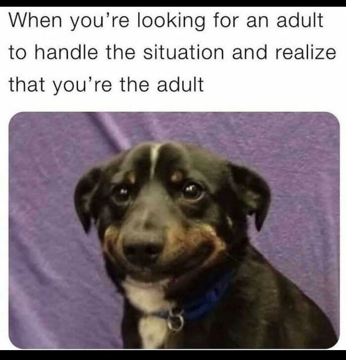 Trying-To-Be-More-Adult-Adulting