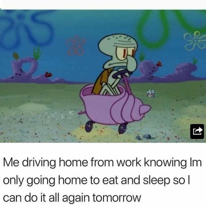 Trying-To-Be-More-Adult-Adulting