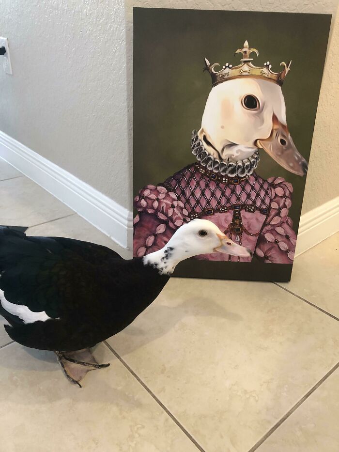 Petunia The Rescue Duck Admires Herself!