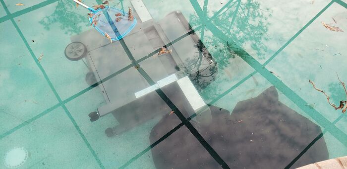 My House Got Hit By A Tornado Yesterday, It's Heavily Damaged But Still Standing, And Nobody Is Injured