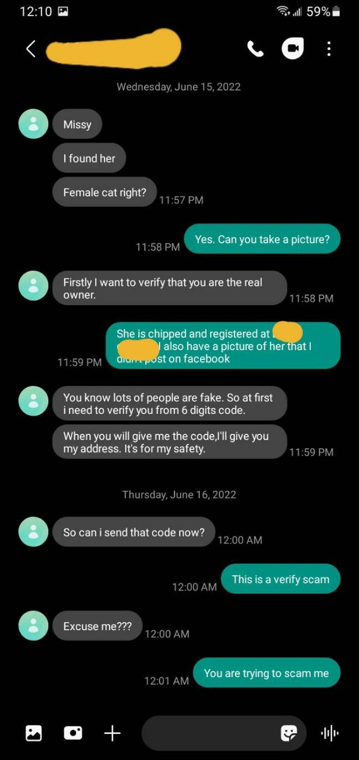 I Knew Someone Would Try Sooner Or Later. I'm Still Missing My Cat