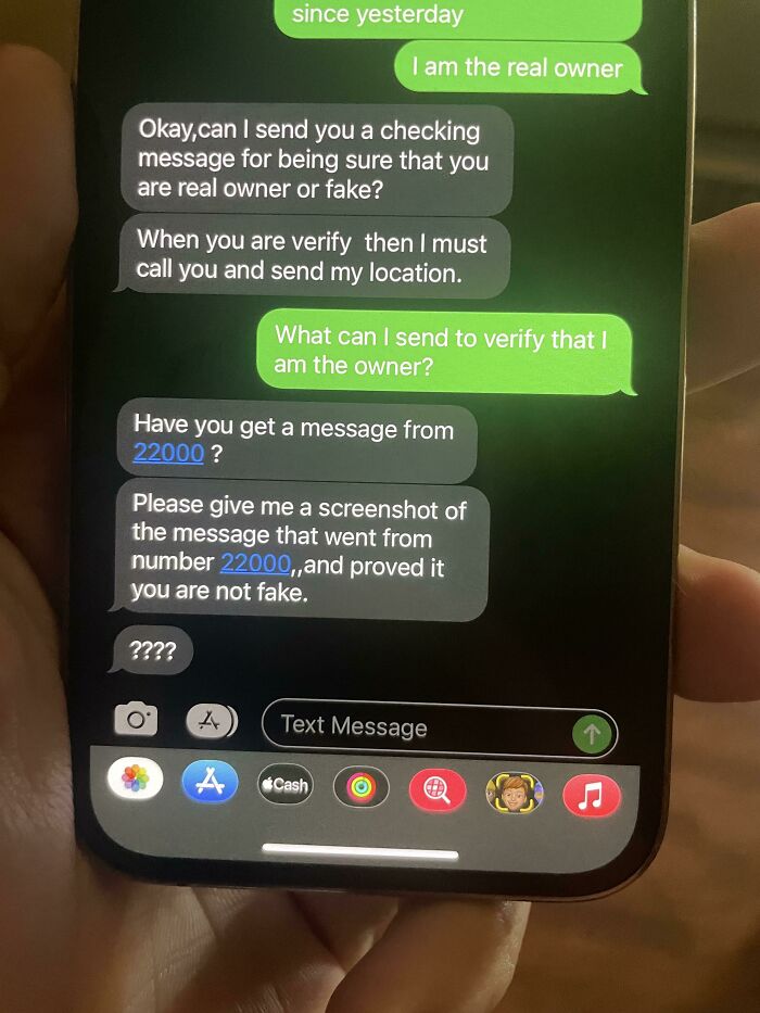 I Need Help I Lost My Cat Last Night And This Random Person Said They Found Him, I Have Not Posted Anything Online But These Messages Look Really Weird