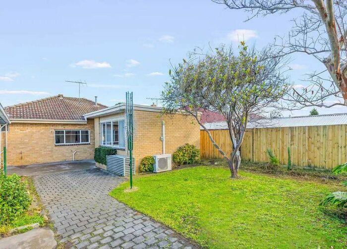 Estos agentes inmobiliarios se esforzaron por darle al árbol algunas hojas